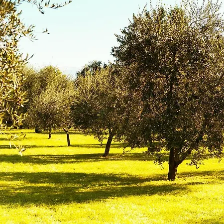 Casa Gardenia